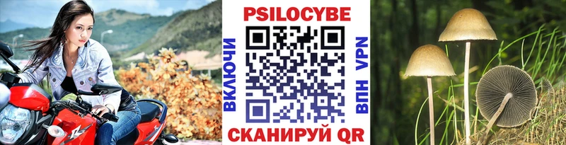 Псилоцибиновые грибы Cubensis  KRAKEN ссылка  Звенигово  где купить наркоту 